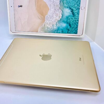 Ipad Pro2 10.5in - 256GB bản SIM 4G